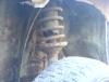Attached Image