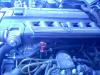 Attached Image