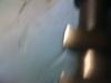 Attached Image