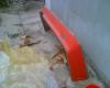 Attached Image