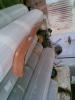 Attached Image