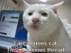 Attached Image