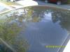 Attached Image