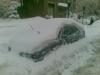 Attached Image