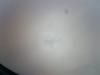 Attached Image