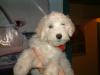 Attached Image