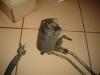 Attached Image