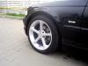 Attached Image