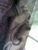 Attached Image