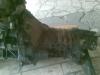 Attached Image