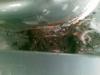 Attached Image