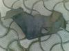 Attached Image