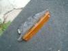 Attached Image