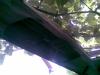 Attached Image