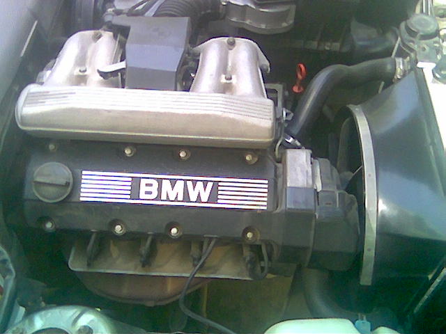 bmw ursulet