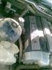 Attached Image