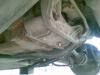 Attached Image